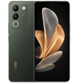 vivo_Y29_5G.png